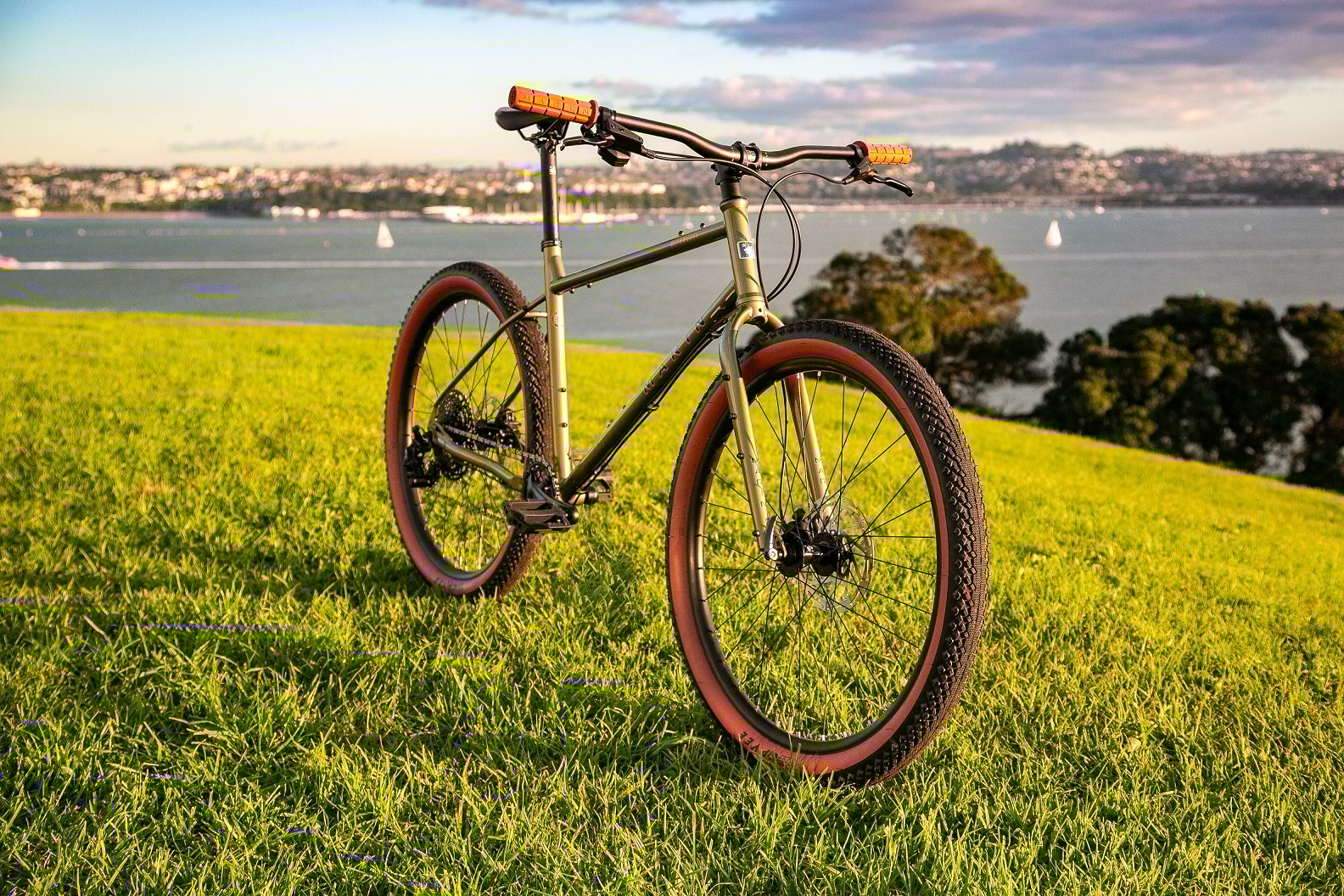 Marin Muirwoods - Gold