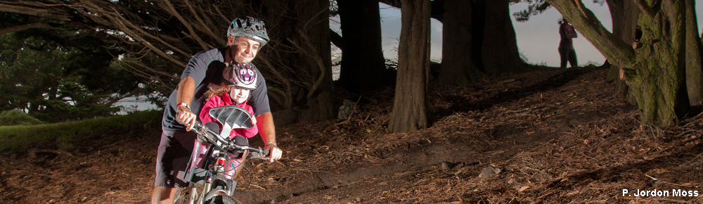 Twilight Biking in Wellington