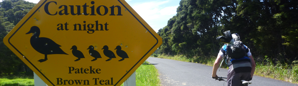 Great Barrier Island