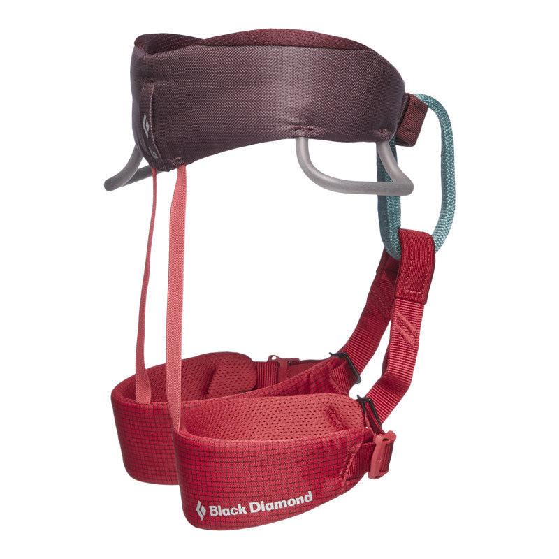 Black Diamond Momentum Harness Kids